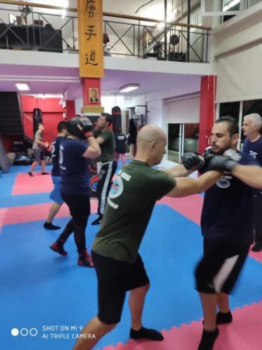 krav maga 